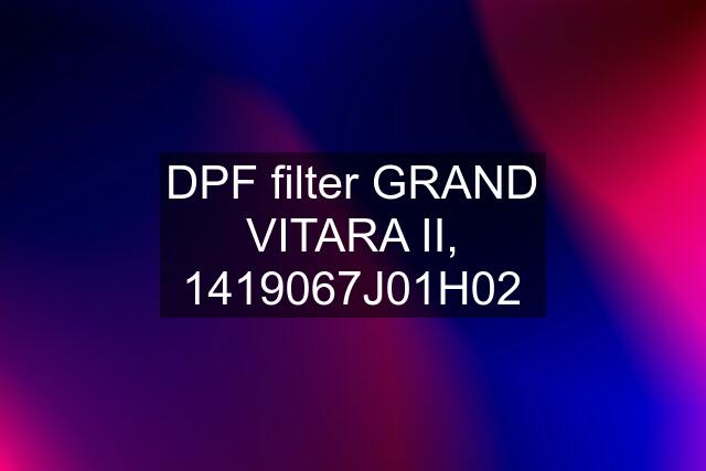 DPF filter GRAND VITARA II, 1419067J01H02