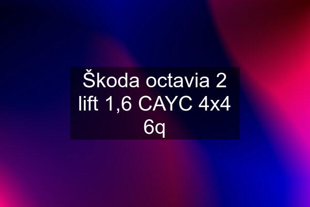 Škoda octavia 2 lift 1,6 CAYC 4x4 6q