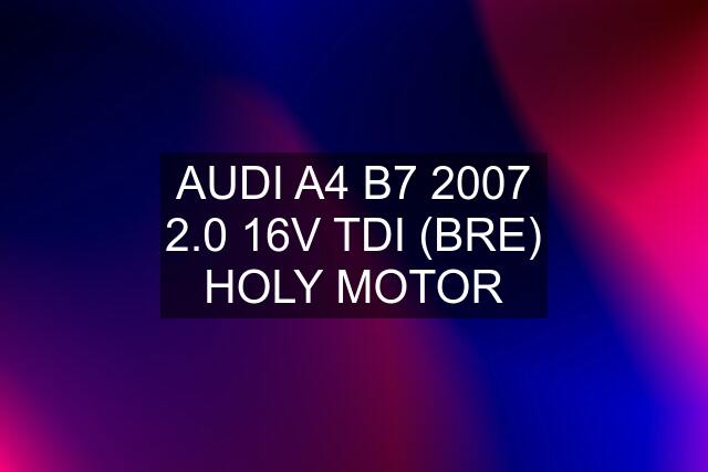 AUDI A4 B7 2007 2.0 16V TDI (BRE) HOLY MOTOR