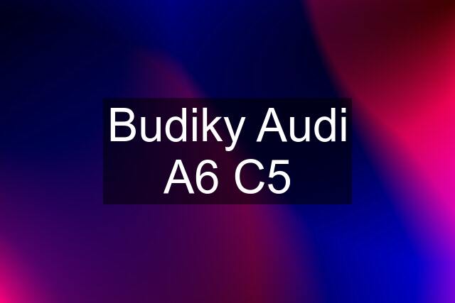 Budiky Audi A6 C5