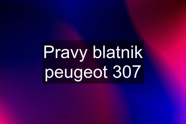 Pravy blatnik peugeot 307