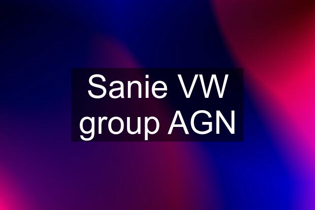 Sanie VW group AGN