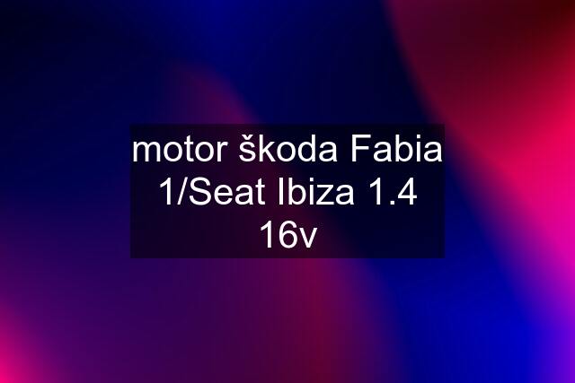 motor škoda Fabia 1/Seat Ibiza 1.4 16v