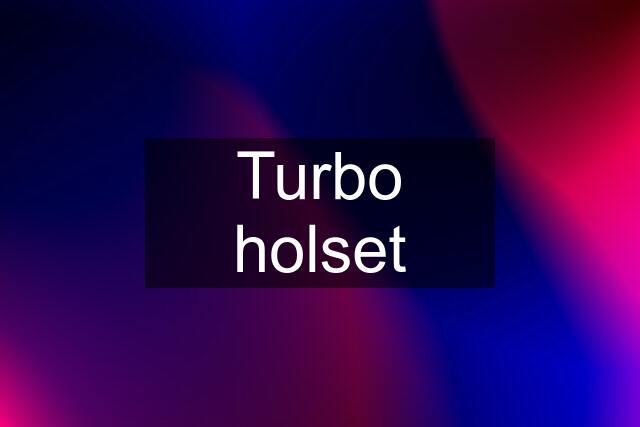 Turbo holset