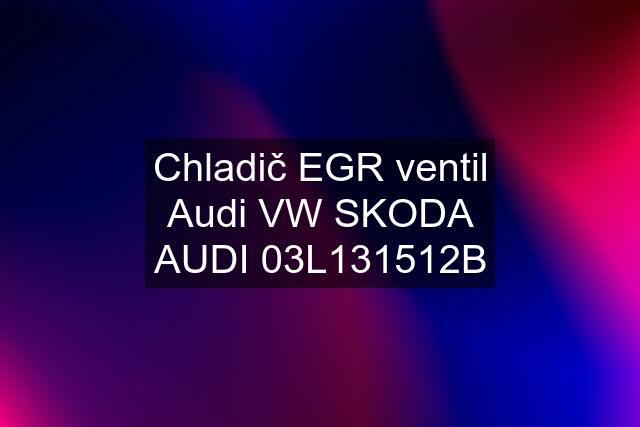 Chladič EGR ventil Audi VW SKODA AUDI 03L131512B