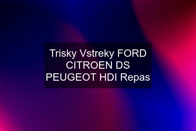 Trisky Vstreky FORD CITROEN DS PEUGEOT HDI Repas