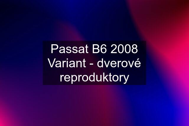 Passat B6 2008 Variant - dverové reproduktory