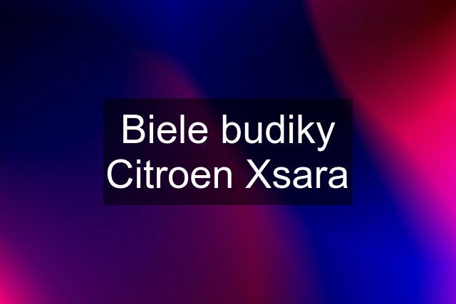 Biele budiky Citroen Xsara