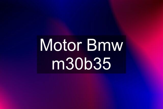 Motor Bmw m30b35