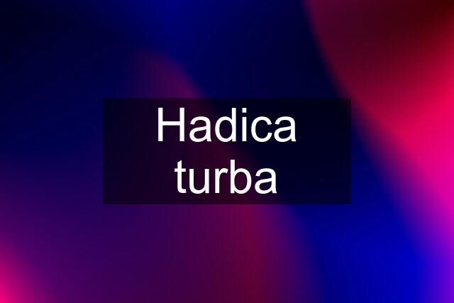 Hadica turba