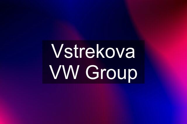 Vstrekova VW Group