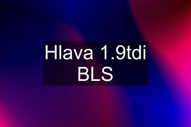 Hlava 1.9tdi BLS