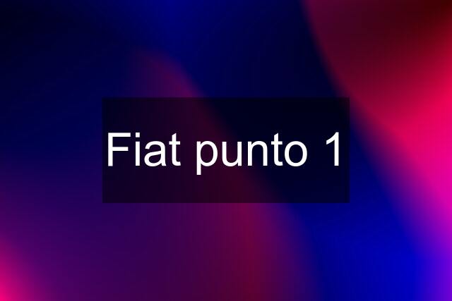 Fiat punto 1