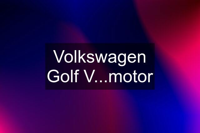 Volkswagen Golf V...motor