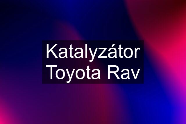 Katalyzátor Toyota Rav