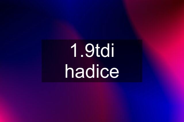 1.9tdi hadice