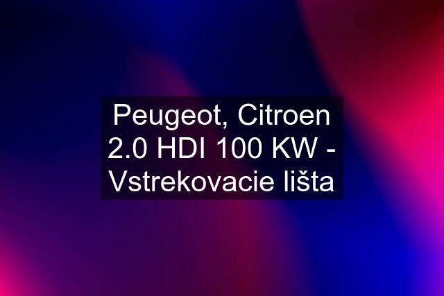 Peugeot, Citroen 2.0 HDI 100 KW - Vstrekovacie lišta