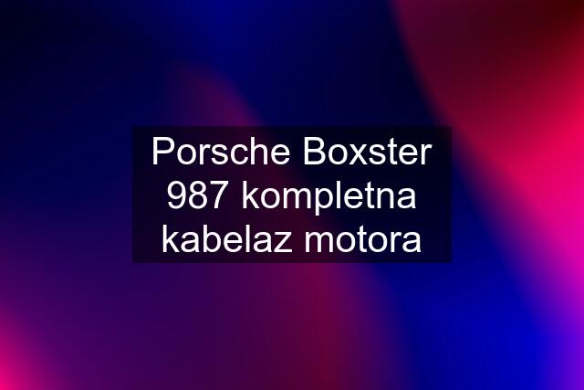 Porsche Boxster 987 kompletna kabelaz motora