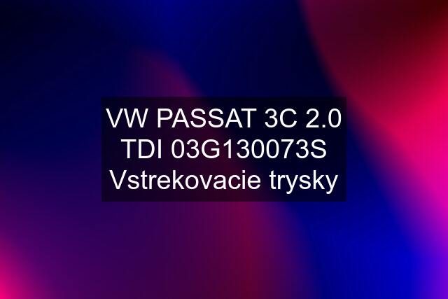 VW PASSAT 3C 2.0 TDI 03G130073S Vstrekovacie trysky