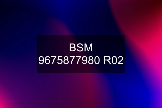 BSM 9675877980 R02