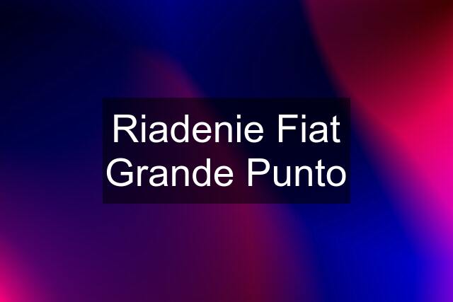 Riadenie Fiat Grande Punto