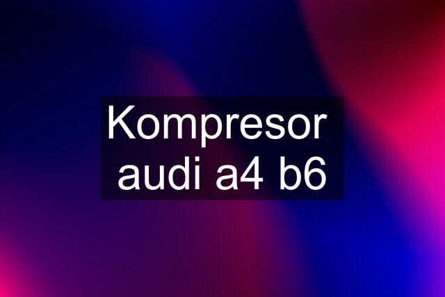 Kompresor  audi a4 b6