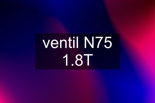 ventil N75 1.8T