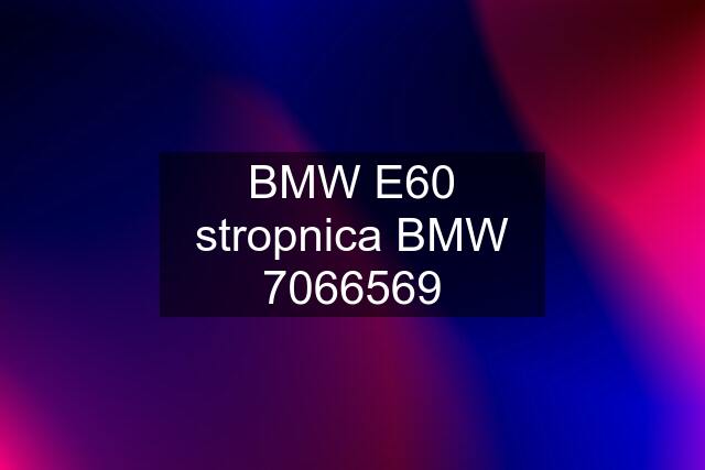 BMW E60 stropnica BMW 7066569