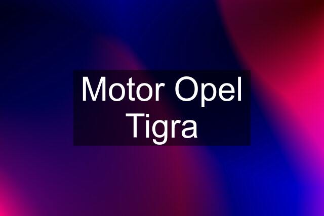 Motor Opel Tigra