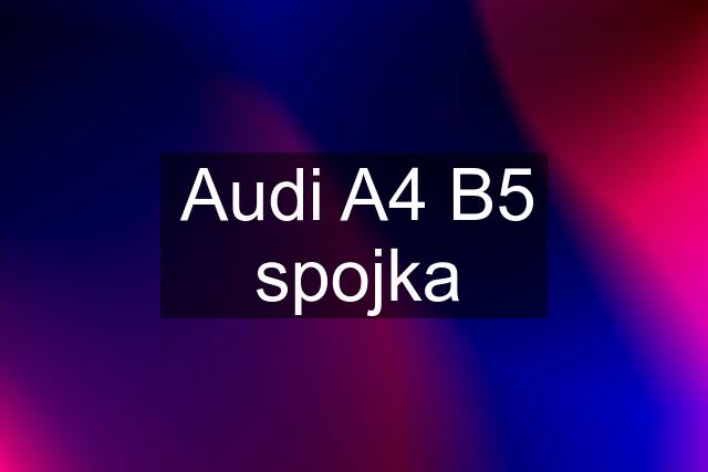 Audi A4 B5 spojka