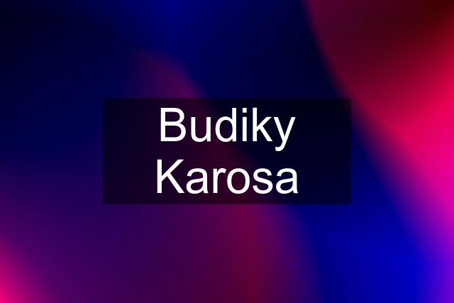 Budiky Karosa