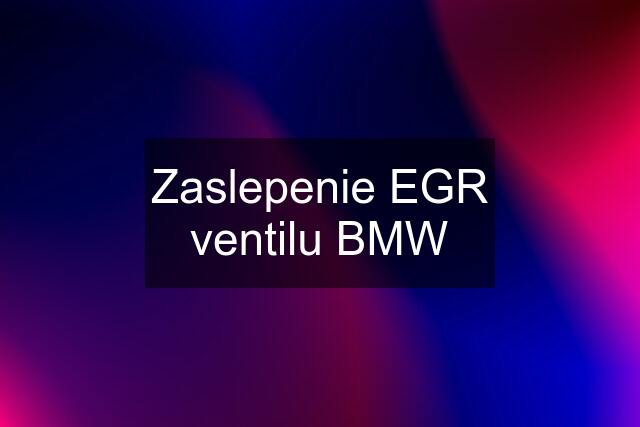 Zaslepenie EGR ventilu BMW