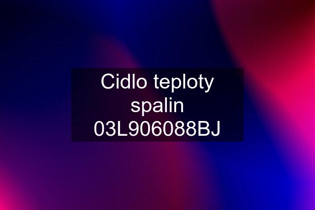 Cidlo teploty spalin 03L906088BJ