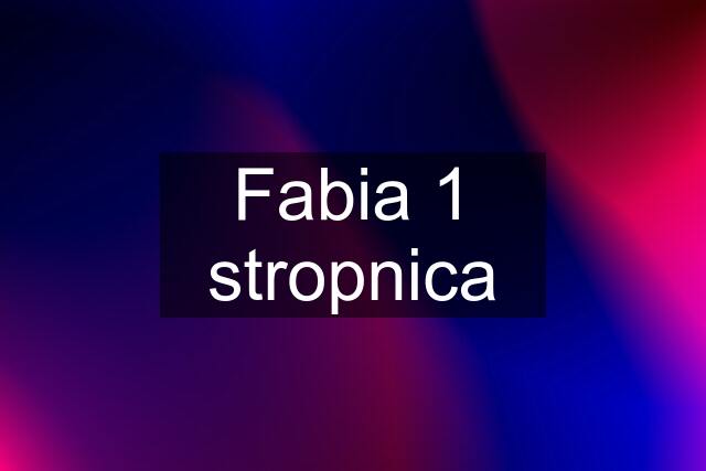 Fabia 1 stropnica