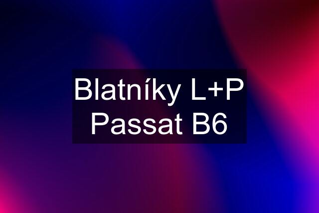 Blatníky L+P Passat B6