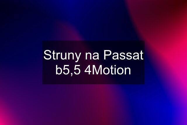 Struny na Passat b5,5 4Motion