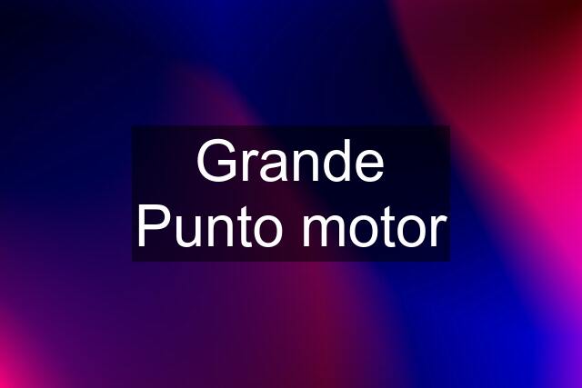 Grande Punto motor