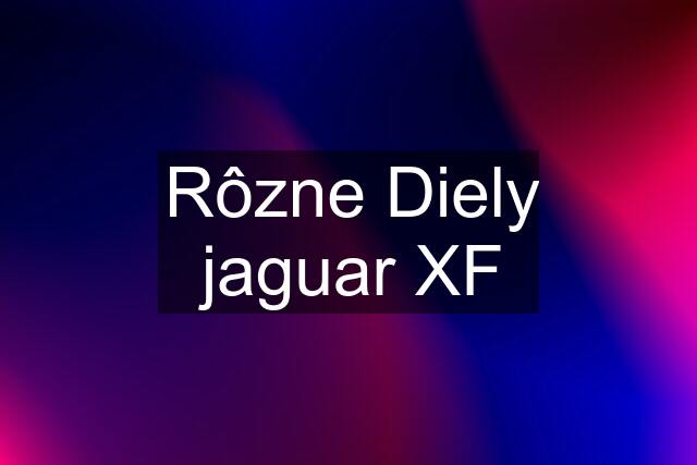 Rôzne Diely jaguar XF