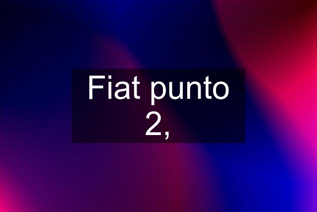 Fiat punto 2,