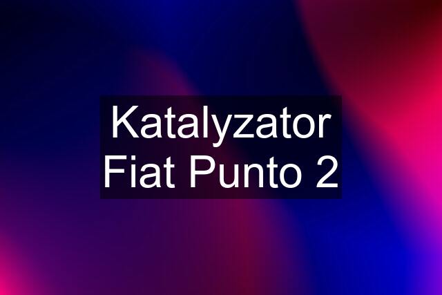 Katalyzator Fiat Punto 2