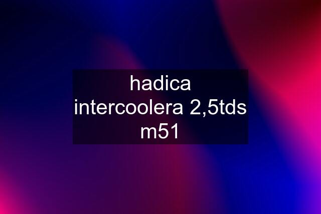 hadica intercoolera 2,5tds m51