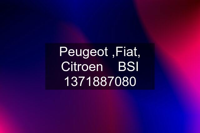 Peugeot ,Fiat, Citroen    BSI 1371887080