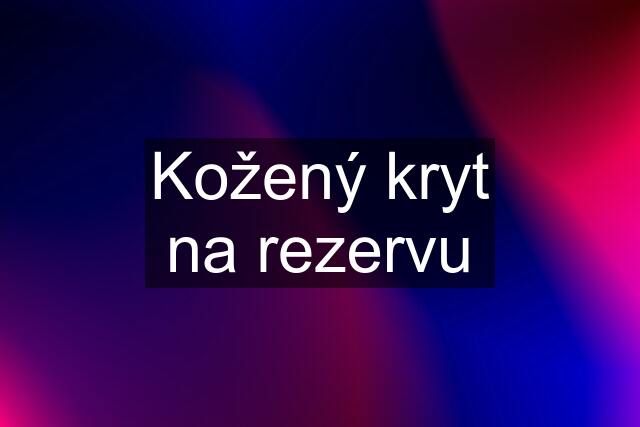 Kožený kryt na rezervu