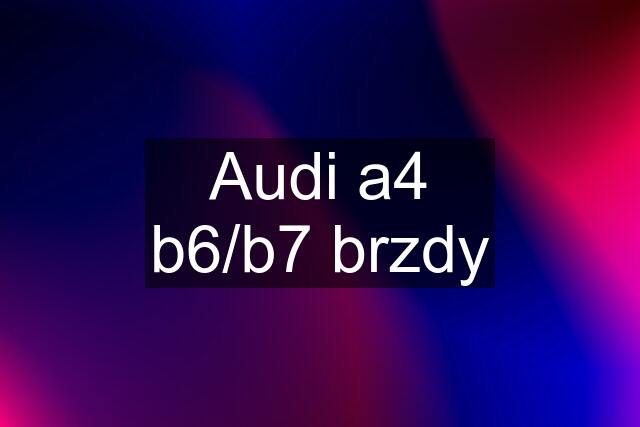 Audi a4 b6/b7 brzdy