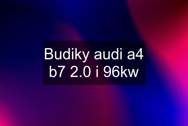 Budiky audi a4 b7 2.0 i 96kw
