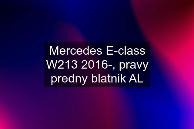 Mercedes E-class W213 2016-, pravy predny blatnik AL