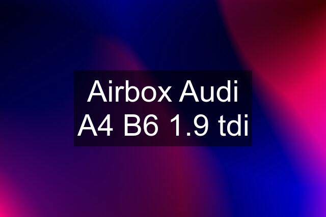 Airbox Audi A4 B6 1.9 tdi