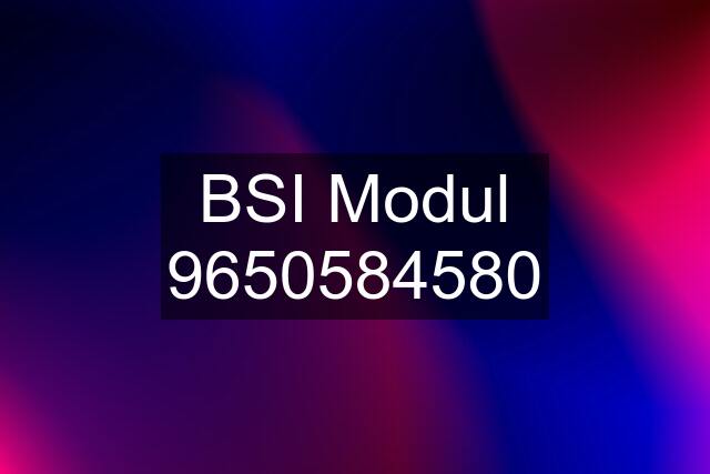 BSI Modul 9650584580