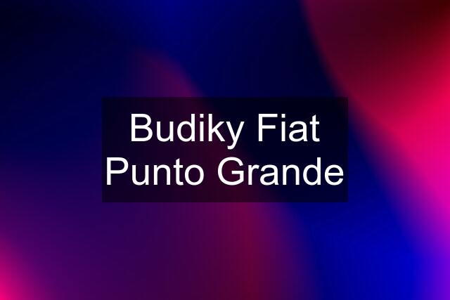 Budiky Fiat Punto Grande