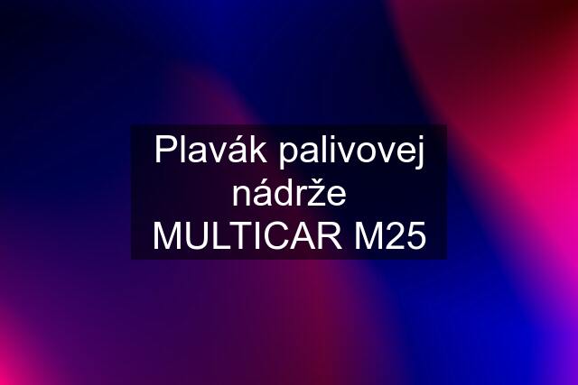 Plavák palivovej nádrže MULTICAR M25